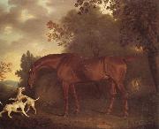 Clifton Tomson, A Bay Hunter and Two Hounds in A Wooded Landscape